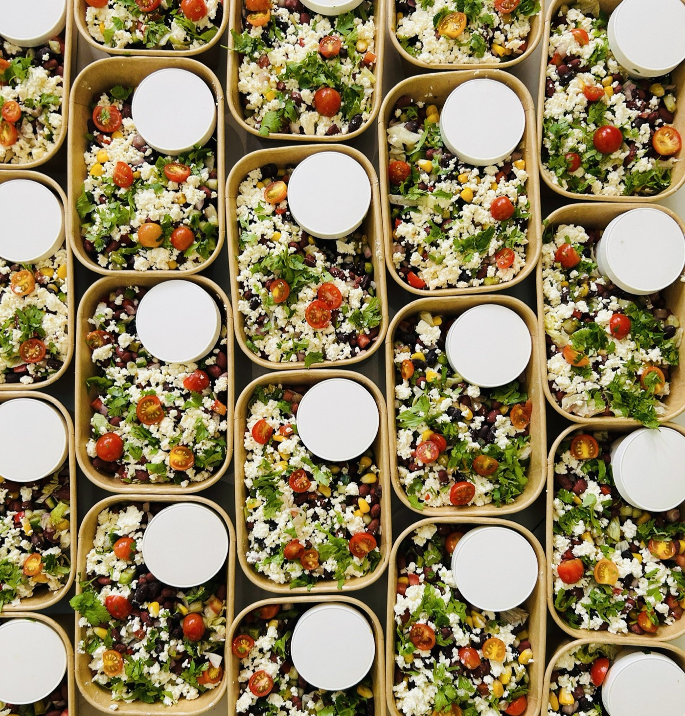 Rows of freshly packed Bowl Truth meals for a corporate order