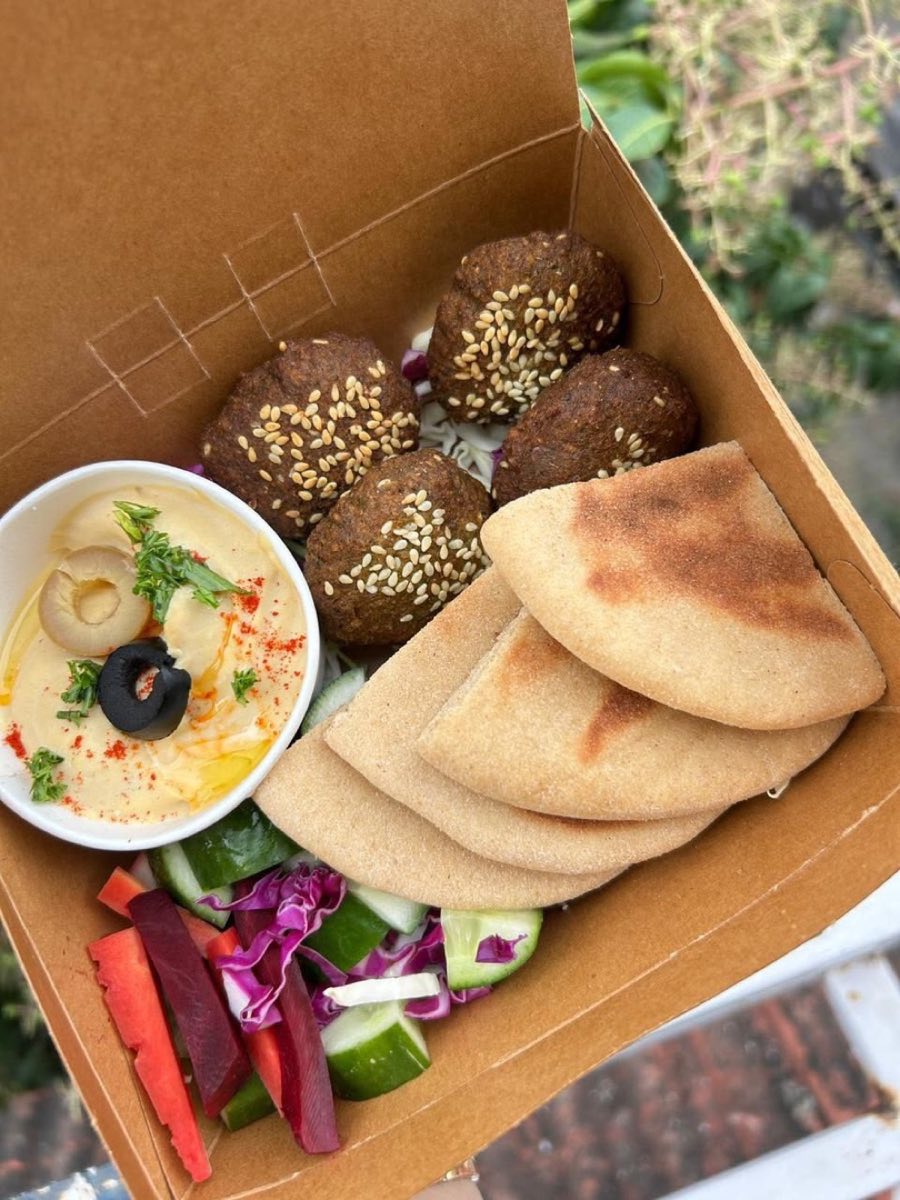 Lebanese Hummus Falafel Pita Platter